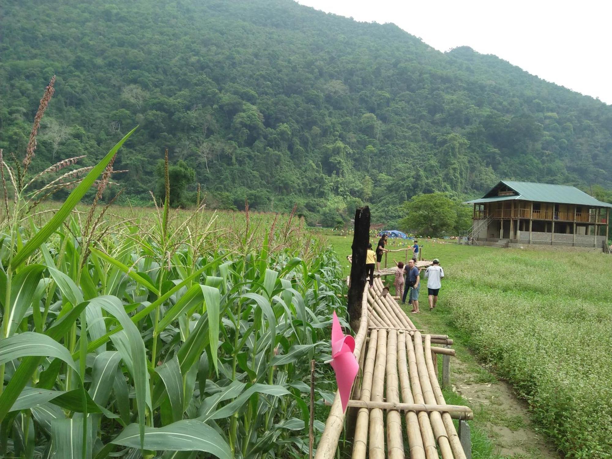 Tran Xuan Homestay 바베현 외부 사진