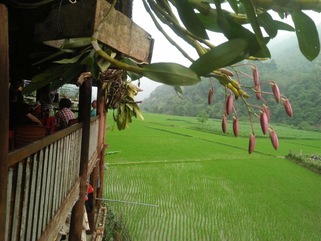Tran Xuan Homestay 바베현 외부 사진